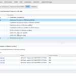 vSAN deployment and administrator’s Guide